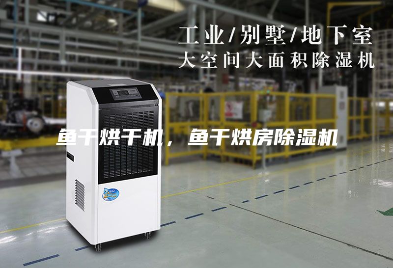 鱼干烘干机，鱼干烘房除湿机