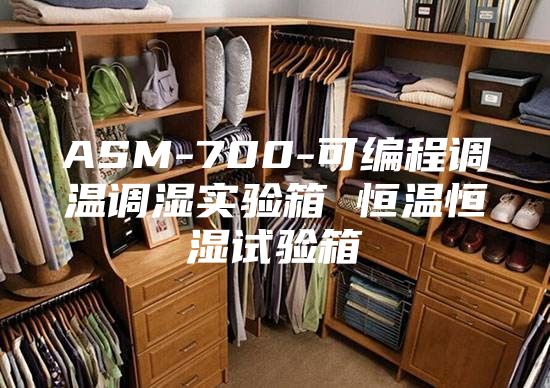 ASM-700-可编程调温调湿实验箱 恒温恒湿试验箱