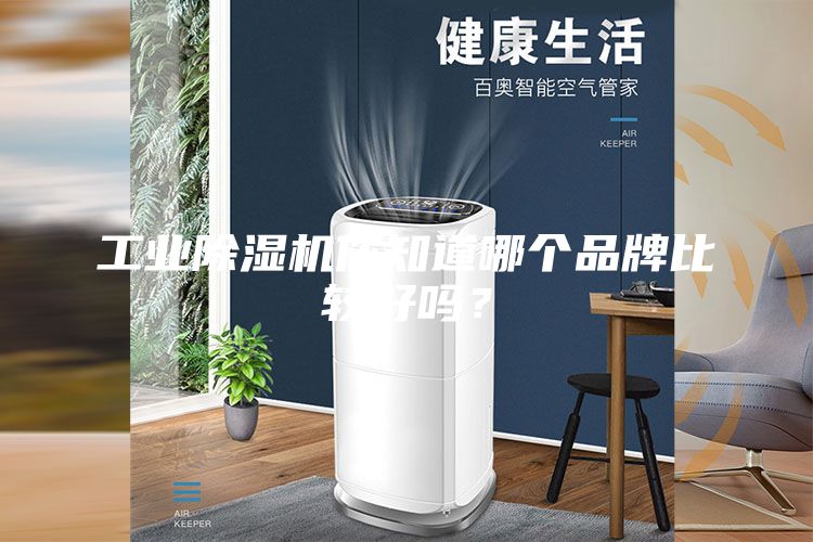 工业除湿机你知道哪个品牌比较好吗？
