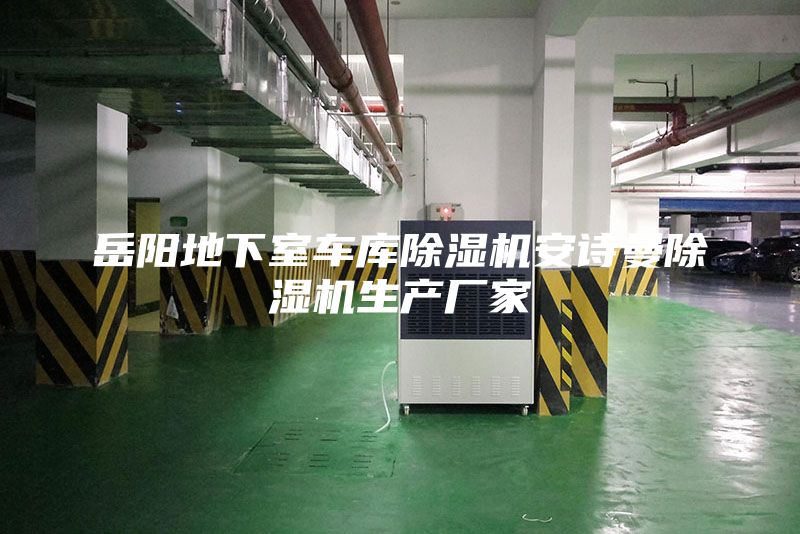 岳阳地下室车库除湿机安诗曼除湿机生产厂家