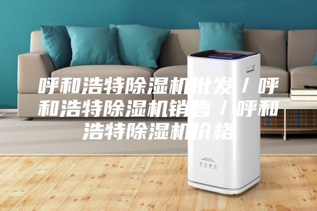 呼和浩特除湿机批发／呼和浩特除湿机销售／呼和浩特除湿机价格
