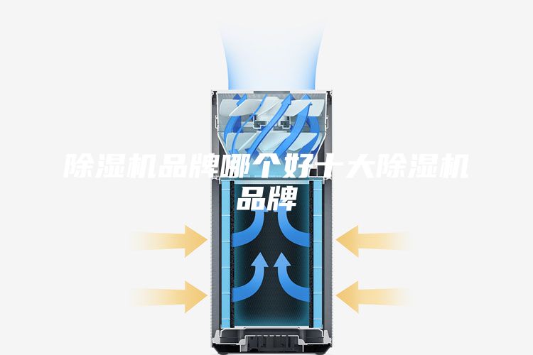 除湿机品牌哪个好十大除湿机品牌