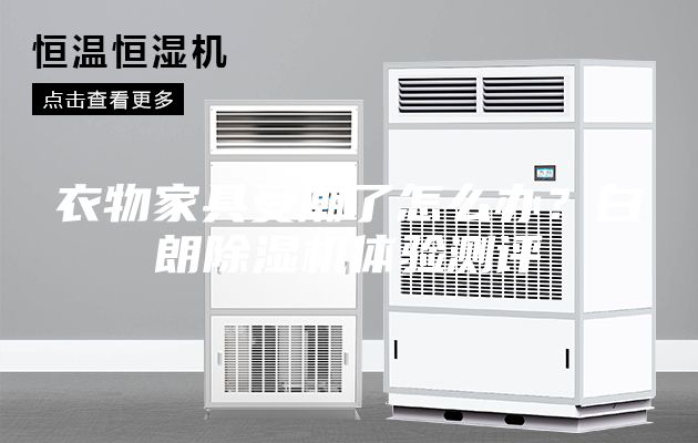 衣物家具受潮了怎么办？白朗除湿机体验测评
