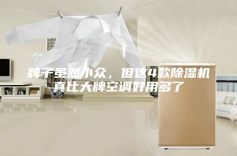 牌子虽然小众，但这4款除湿机真比大牌空调好用多了
