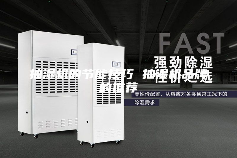 抽湿机的节能技巧 抽湿机品牌的推荐