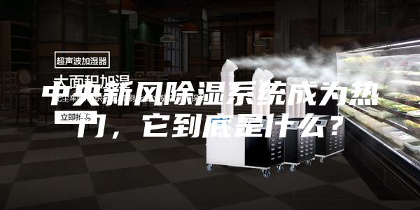 中央新风除湿系统成为热门，它到底是什么？