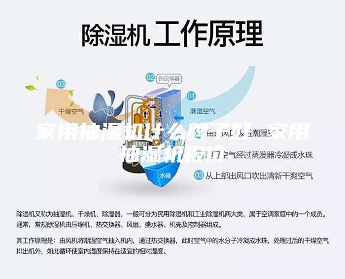 家用抽湿机什么牌子好 家用抽湿机报价