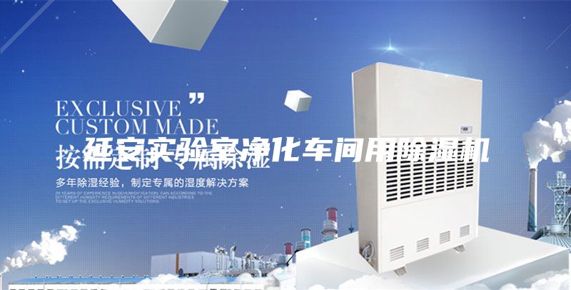 延安实验室净化车间用除湿机