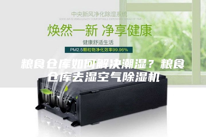 粮食仓库如何解决潮湿？粮食仓库去湿空气除湿机