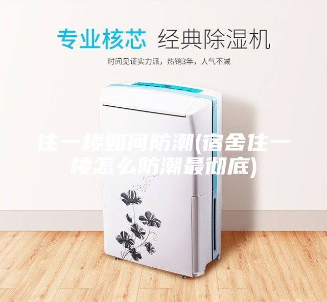 住一楼如何防潮(宿舍住一楼怎么防潮最彻底)