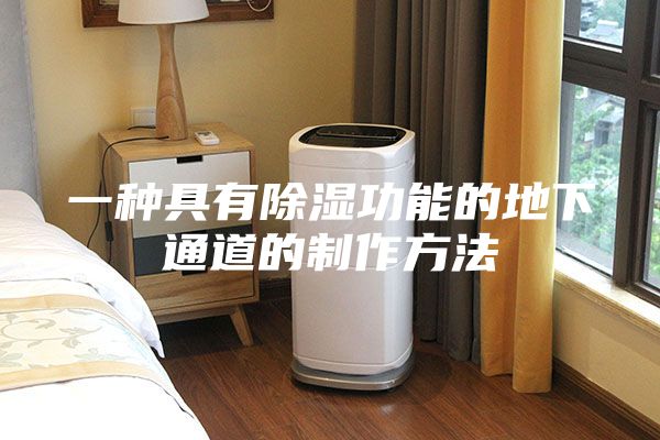 一种具有除湿功能的地下通道的制作方法