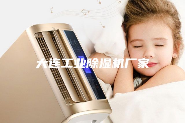 大连工业除湿机厂家