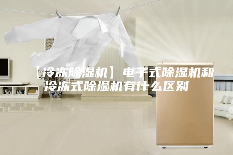 【冷冻除湿机】电子式除湿机和冷冻式除湿机有什么区别