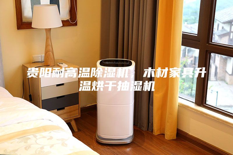贵阳耐高温除湿机，木材家具升温烘干抽湿机