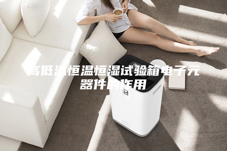 高低温恒温恒湿试验箱电子元器件的作用