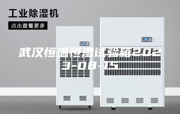 武汉恒温恒湿试验箱2023-08-15