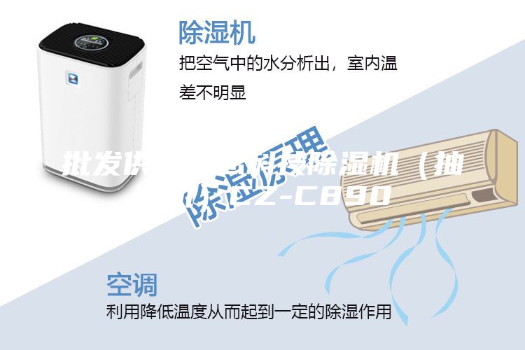 批发供应纯忠科技除湿机（抽湿机）CZ-C890