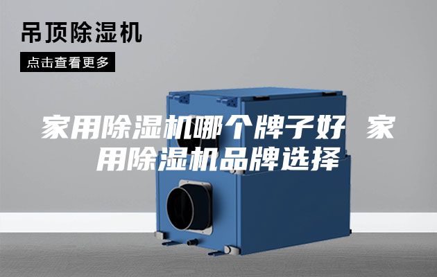 家用除湿机哪个牌子好 家用除湿机品牌选择