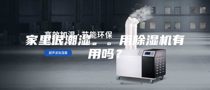 家里很潮湿。。用除湿机有用吗？