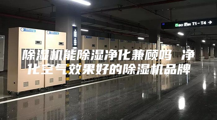 除湿机能除湿净化兼顾吗 净化空气效果好的除湿机品牌