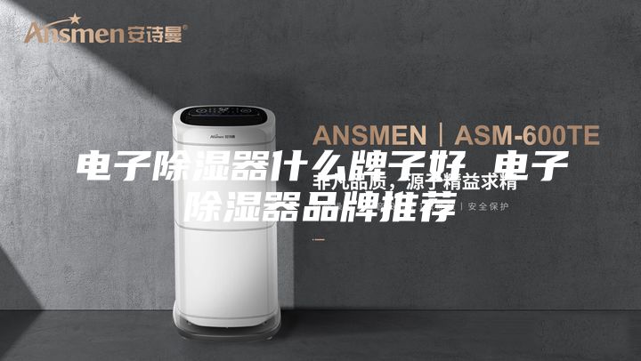 电子除湿器什么牌子好 电子除湿器品牌推荐