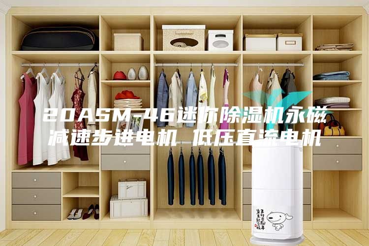 20ASM-46迷你除湿机永磁减速步进电机 低压直流电机