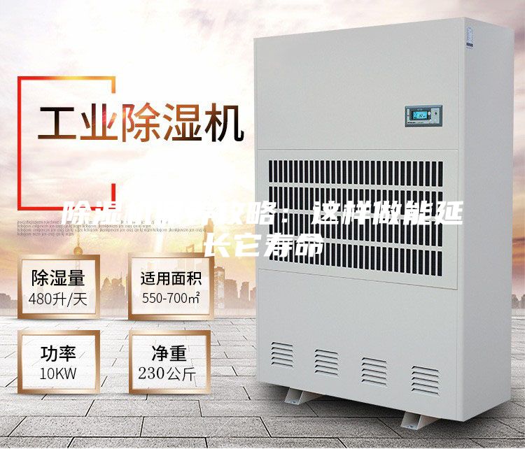 除湿机保养攻略：这样做能延长它寿命