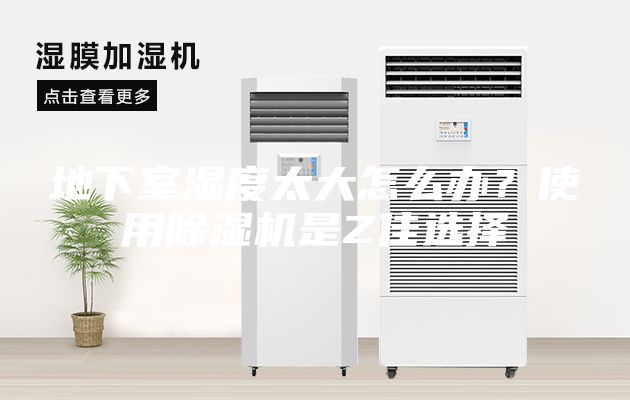 地下室湿度太大怎么办？使用除湿机是Z佳选择