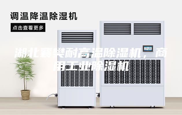 湖北襄樊耐高温除湿机，商用工业除湿机