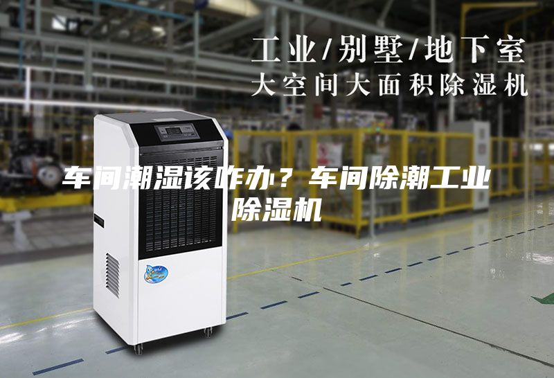 车间潮湿该咋办？车间除潮工业除湿机