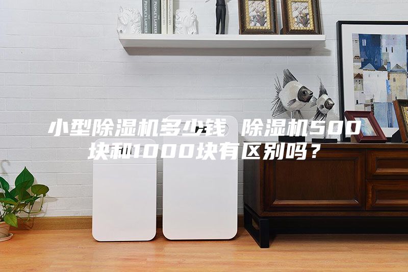 小型除湿机多少钱 除湿机500块和1000块有区别吗？