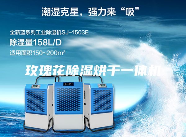 玫瑰花除湿烘干一体机