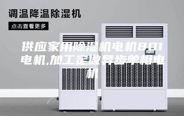 供应家用除湿机电机801电机,加工定做异步单相电机