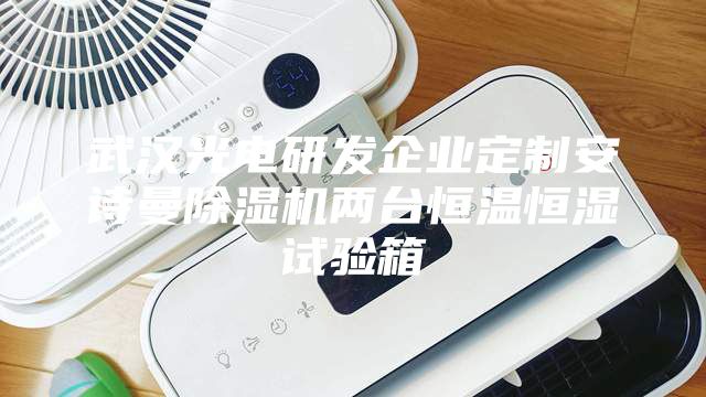 武汉光电研发企业定制安诗曼除湿机两台恒温恒湿试验箱