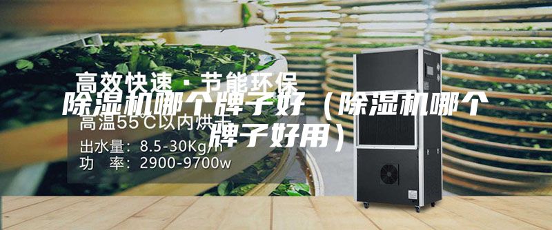 除湿机哪个牌子好（除湿机哪个牌子好用）