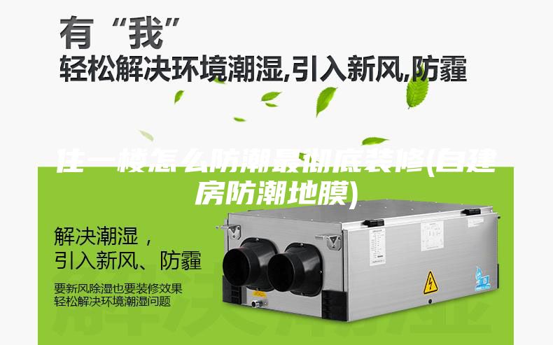 住一楼怎么防潮最彻底装修(自建房防潮地膜)