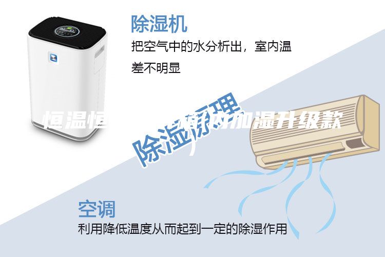 恒温恒湿培养箱(内加湿升级款)