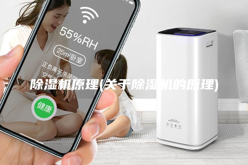 除湿机原理(关于除湿机的原理)