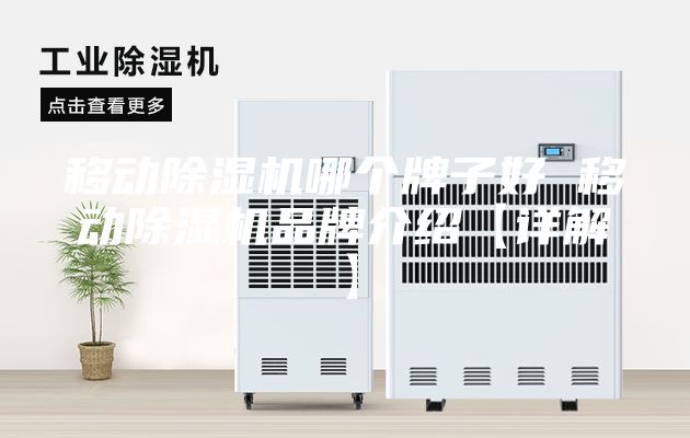 移动除湿机哪个牌子好 移动除湿机品牌介绍【详解】