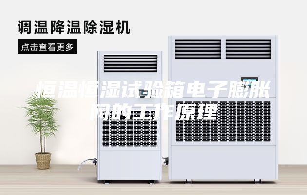 恒温恒湿试验箱电子膨胀阀的工作原理