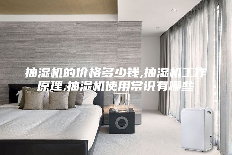 抽湿机的价格多少钱,抽湿机工作原理,抽湿机使用常识有哪些