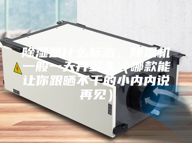 除湿是什么标志，除湿机一般一天开多久（哪款能让你跟晒不干的小内内说再见）