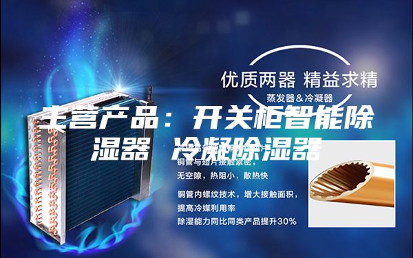 主营产品：开关柜智能除湿器 冷凝除湿器