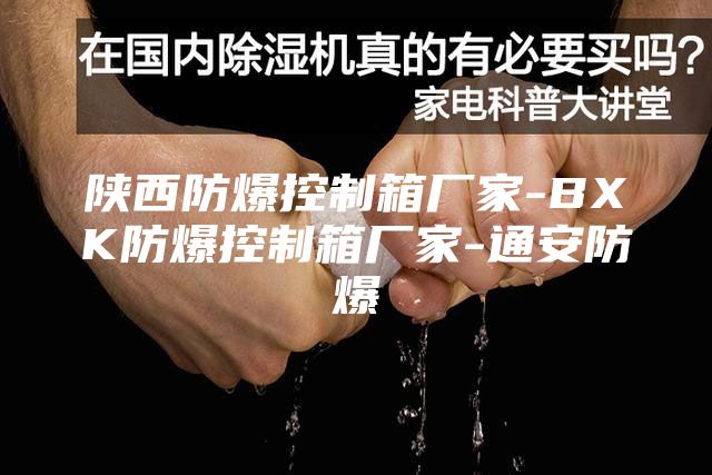 陕西防爆控制箱厂家-BXK防爆控制箱厂家-通安防爆