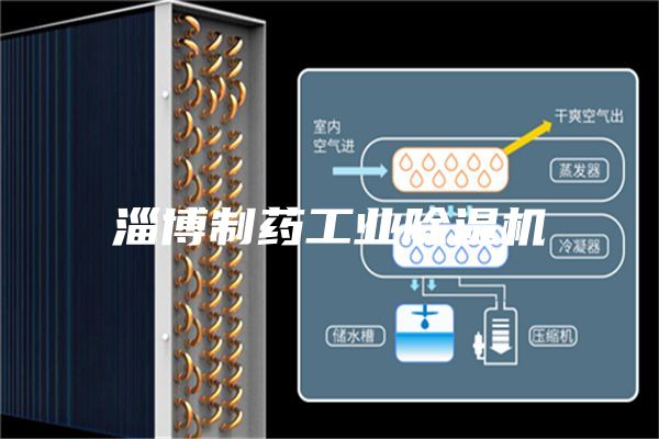 淄博制药工业除湿机