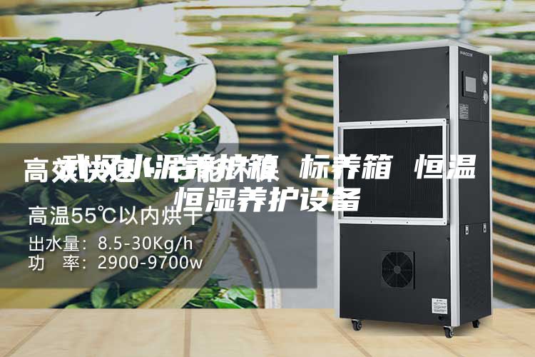 武汉水泥养护箱 标养箱 恒温恒湿养护设备