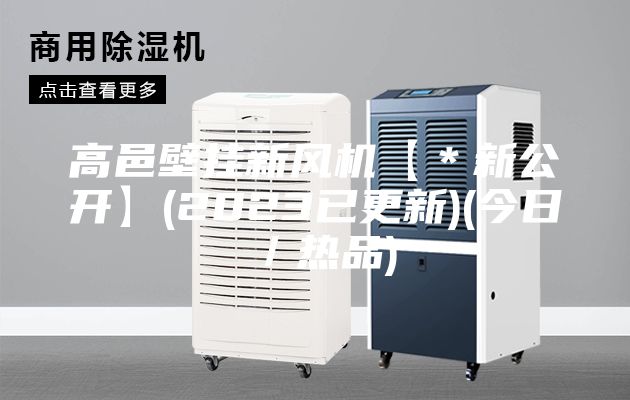 高邑壁挂新风机【＊新公开】(2023已更新)(今日／热品)