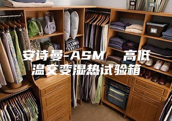 安诗曼-ASM  高低温交变湿热试验箱