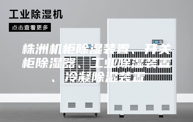 株洲机柜除湿装置、开关柜除湿器、工业除湿装置、冷凝除湿装置