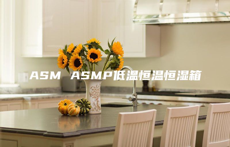 ASM ASMP低温恒温恒湿箱